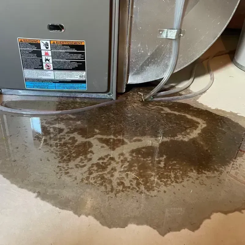 Appliance Leak Cleanup in Bethalto, IL